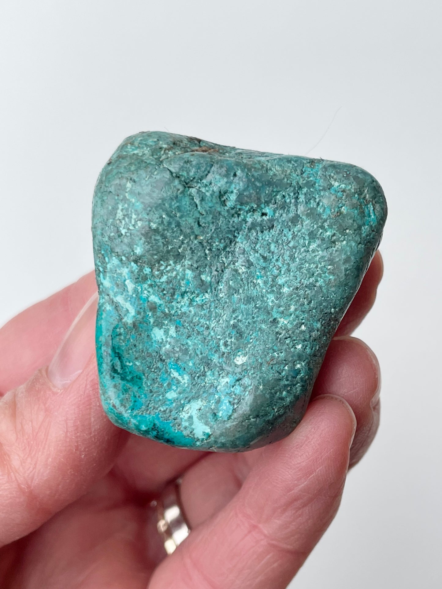 Chrysocolle n*4