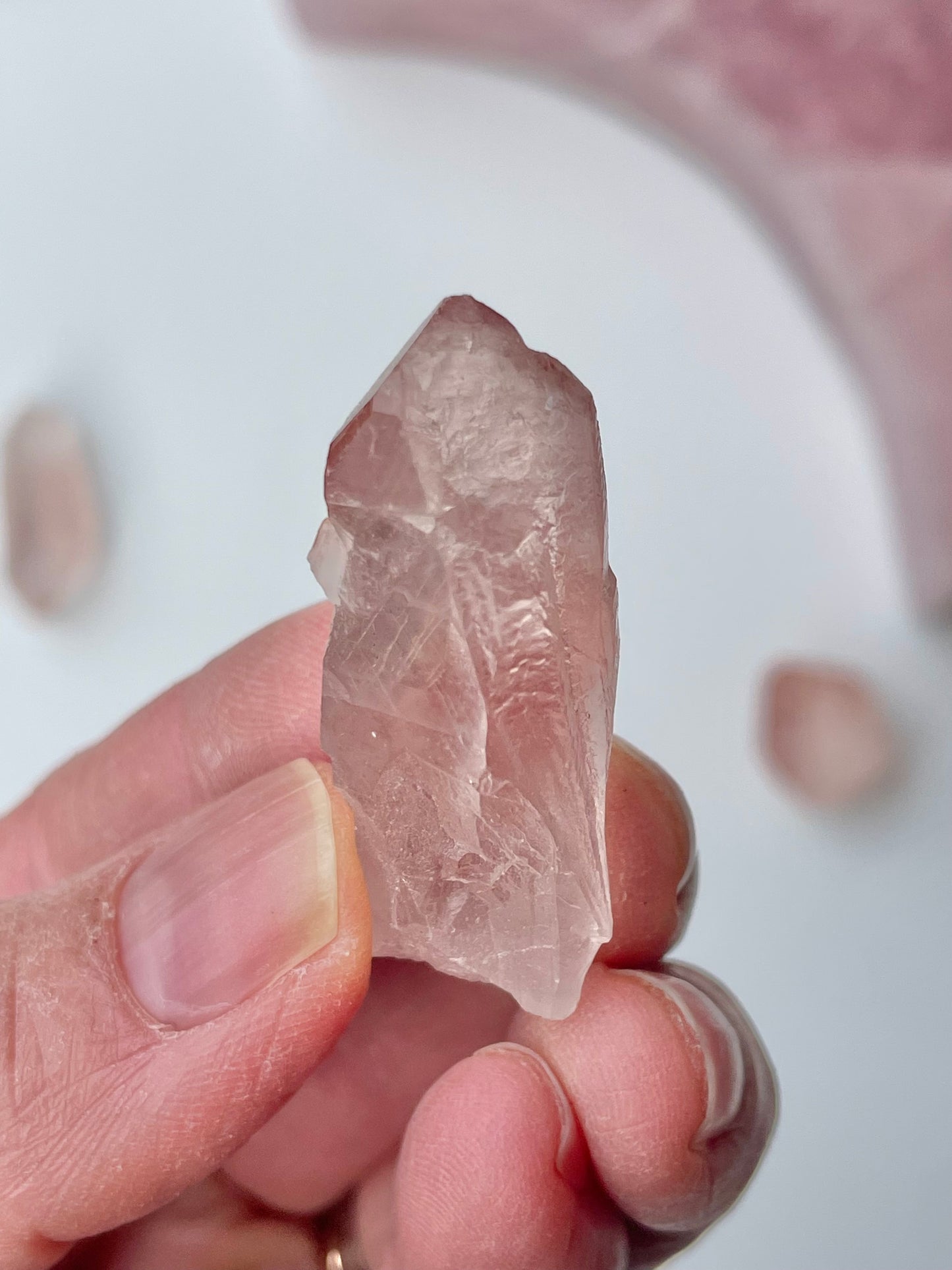 Pink Dream Lemurian n*1