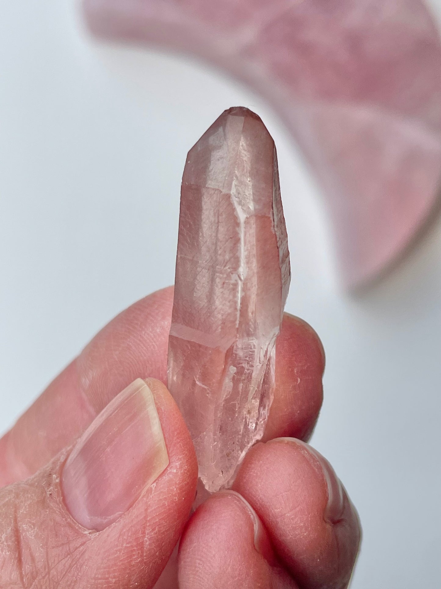 Pink Dream Lemurian n*6